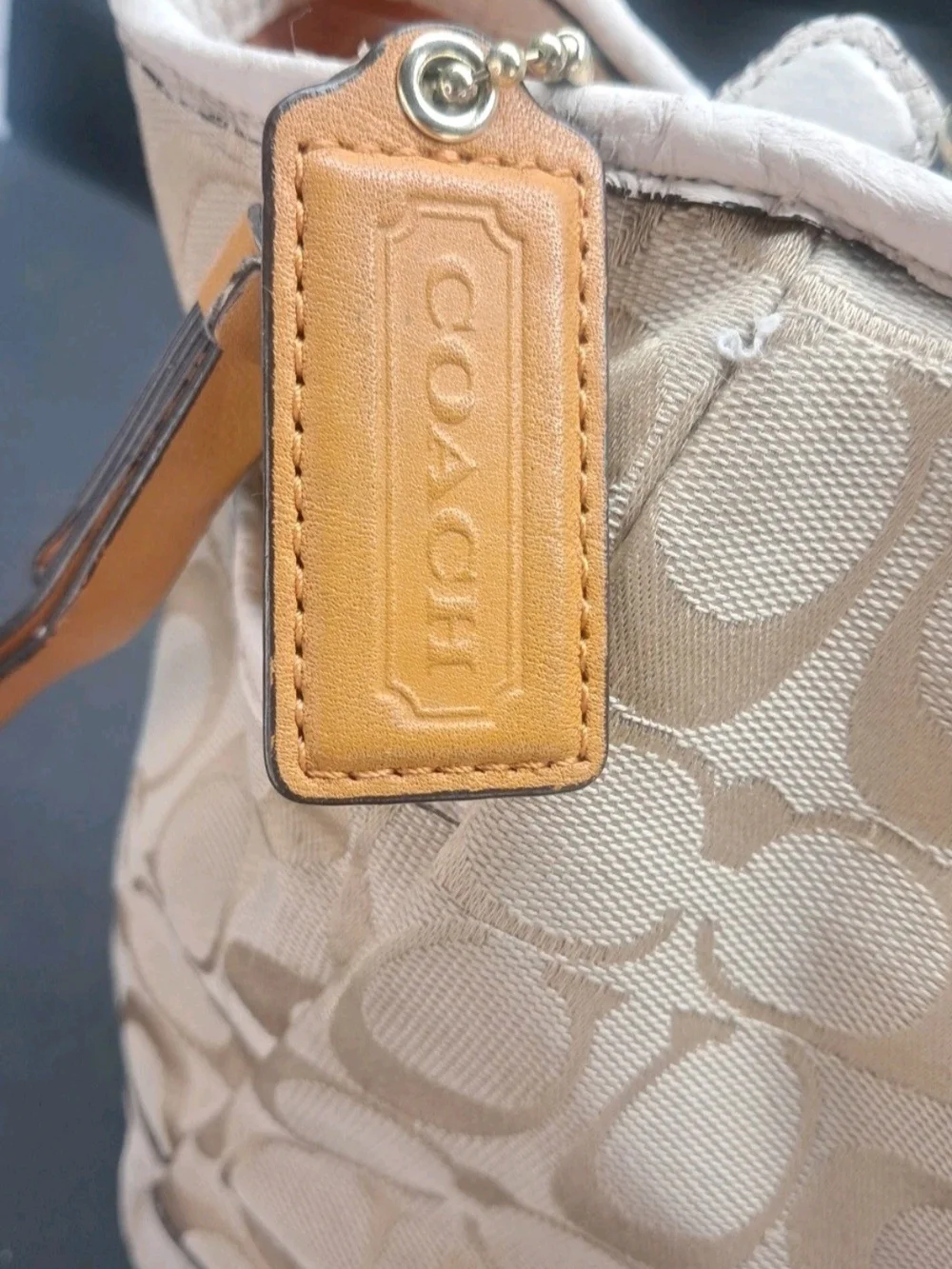 Coach Park Signature Carrie Tote Purse Handbag